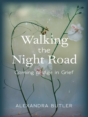 cover image of Walking the Night Road